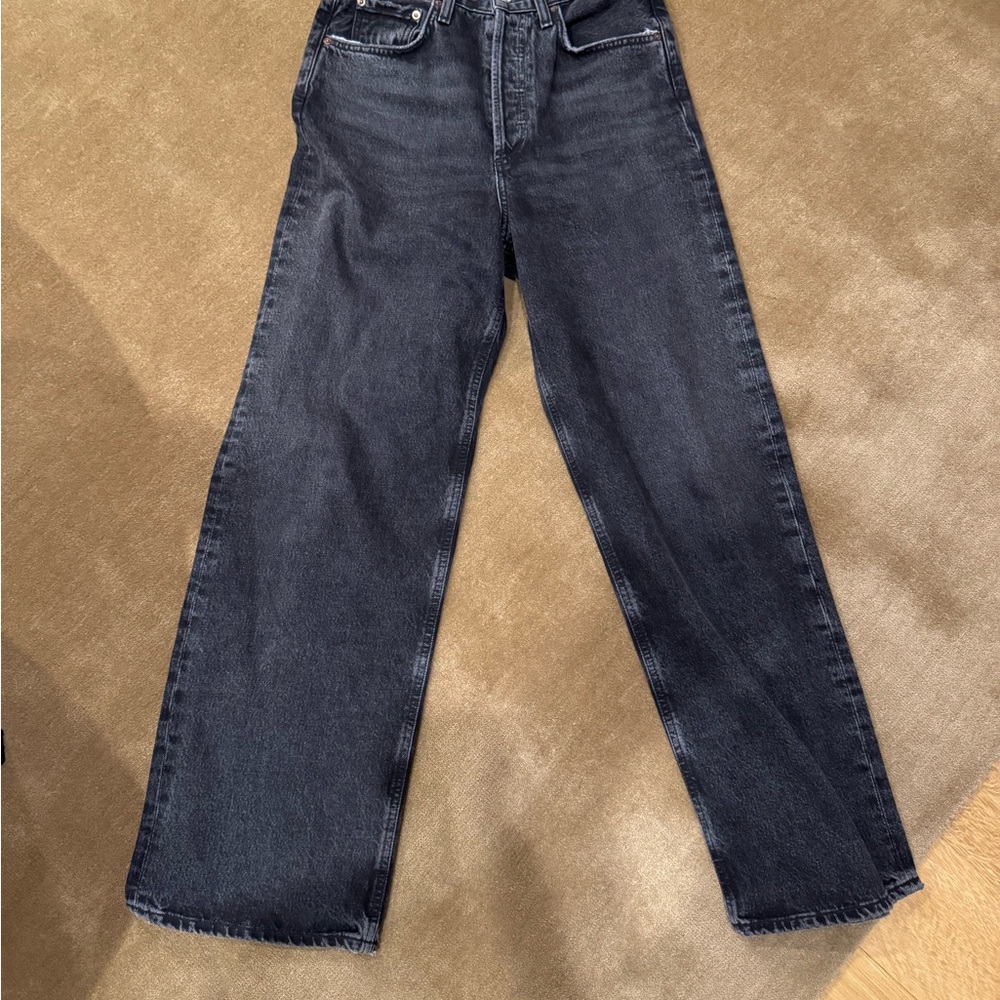 Agolde Low Slung Baggy Jeans